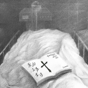 宅男视频在线网站免费观看
