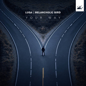 宅男视频在线网站免费观看
