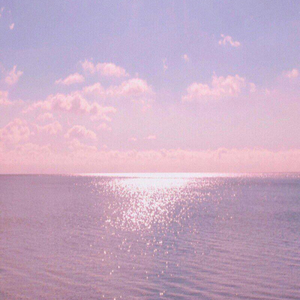 宅男视频在线网站免费观看
