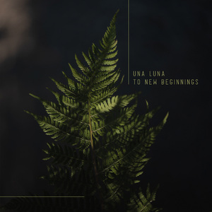 宅男视频在线网站免费观看
