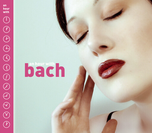 宅男视频在线网站免费观看
